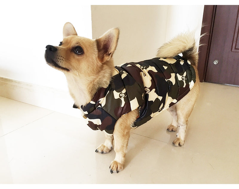 Camouflage Vest for dogs - Camouflage, Sweater, Vest, Warm, Winter