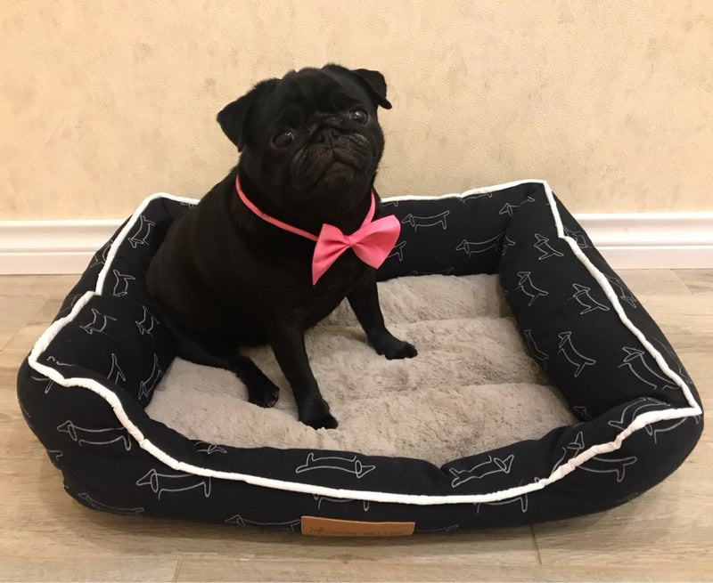 Comfy Plush Bed for dogs - Bed, Comfy, Cushion, Portable, Portable Bed, Soft, Warm