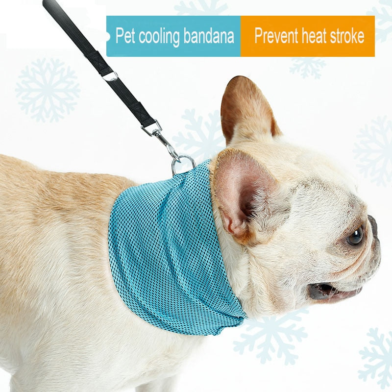 Cooling Collar for dogs - Breathable, Cold, Collar, Cooling, Ice Cold