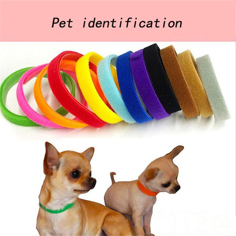 Whelping Puppy Multi-Colour Adjustable ID Collar Set (12pcs)