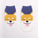 HappyDog Socks for dogs - Shiba Inu, Socks