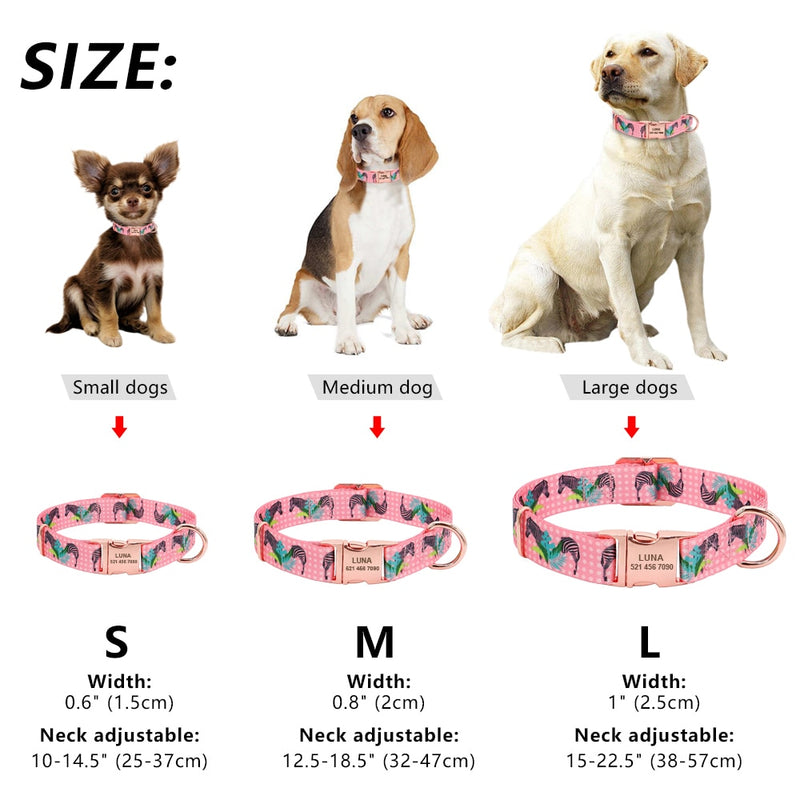 Personalized Colour Burst Custom Collar for dogs - __label2:HappyDog's Choice, __label:Bestseller, Buckle, Collar, Custom, Engrave, Flat Buckle, ID, Leash, Nameplate, Personal