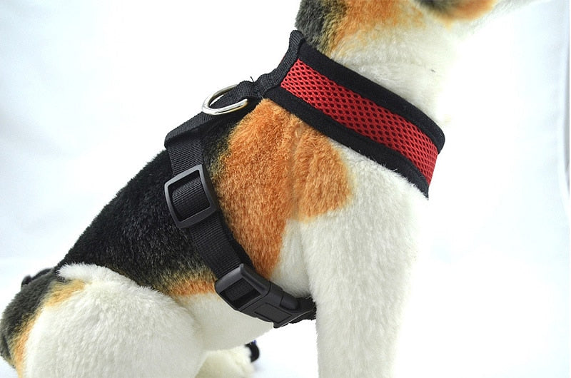 Easy-On Harness (No Pull) for dogs - Harness, Leash, Puppy, Small Dogs, Vest
