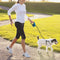 Standard Retractable Leash for dogs - __label:Bestseller, Flexi, Leash, Retractable Leash