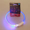 Glow in the Dark Tube Collar for dogs - Collar, LED, Neon, Rechargeable, Safety, USB