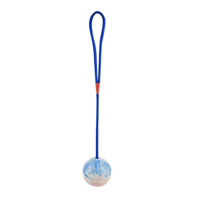 Rubber Ball with Rope, Fetch Toy for dogs - Ball, Fetch, Play, Rope, Rubber, Toy
