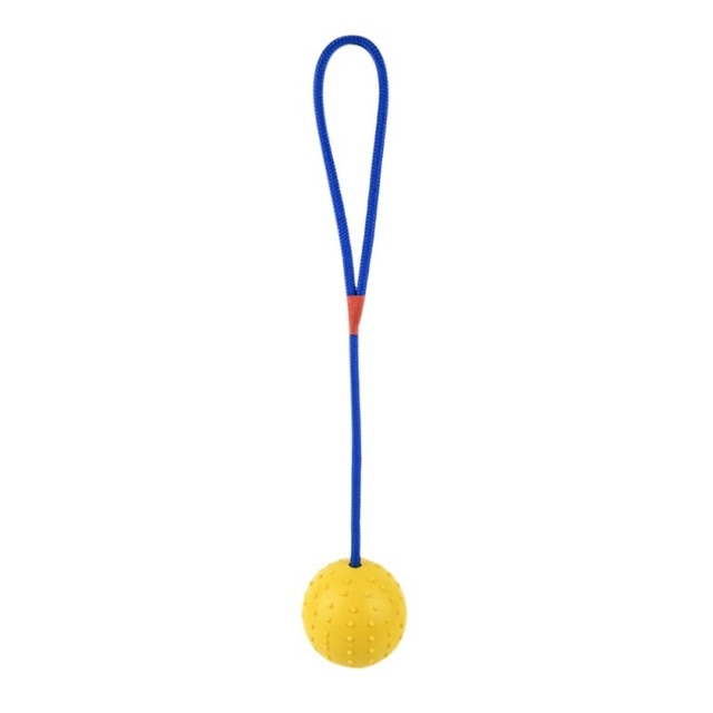 Rubber Ball with Rope, Fetch Toy for dogs - Ball, Fetch, Play, Rope, Rubber, Toy