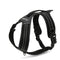 Sport Harness (No-Pull) for dogs - __label:Bestseller, Collar, Easy On, Harness, No-Pull, Sport, Step In