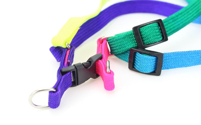 Colorful Rainbow Tie-Dye Collar Harness with Leash (No Pull) for dogs - Collar, Colours, Easy On, Harness, Leash, No Pull, Rainbow, Step In, Tie-Dye