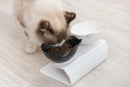 Food & Water Bowl for Cats for dogs - Bowl, Feeder, Feeding, Food, Water