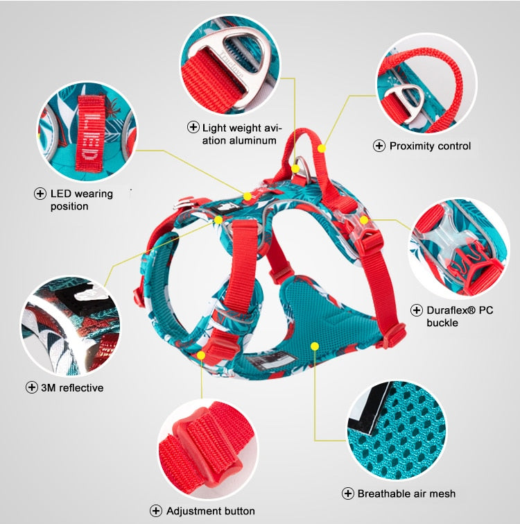 Colour Burst Harness (No Pull) for dogs - Adjust, Cool, Easy On, Harness, Neon, No Pull, Reflective, Step In