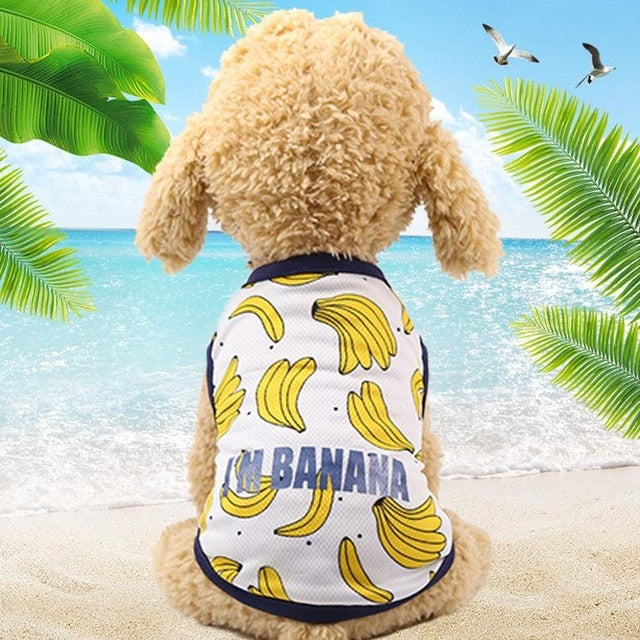 Beach T-shirts for dogs - Cute, Spring, Summer