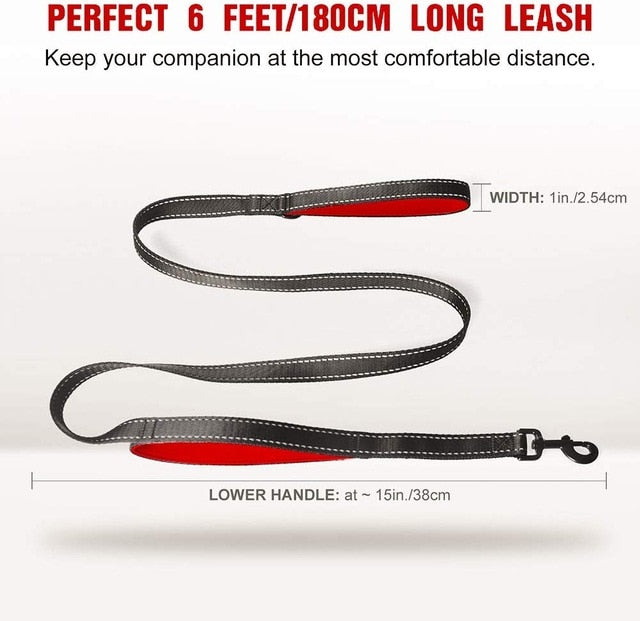 Leash with Handle for dogs - Handle, Leash