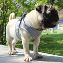 Everyday Reflective Harness - Small Dogs (No Pull)