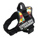 Service Dog in Training Harness (No-Pull) for dogs - __label2:HappyDog's Choice, __label:Bestseller, Custom, Easy On, Engrave, Handle, Harness, No-Pull, Personal, Reflective, Service Dog, Step In, Training, Vest