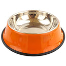 Colourful Stainless Steel Bowl for dogs - __label:Bestseller, Bowl, Stainless, Steel