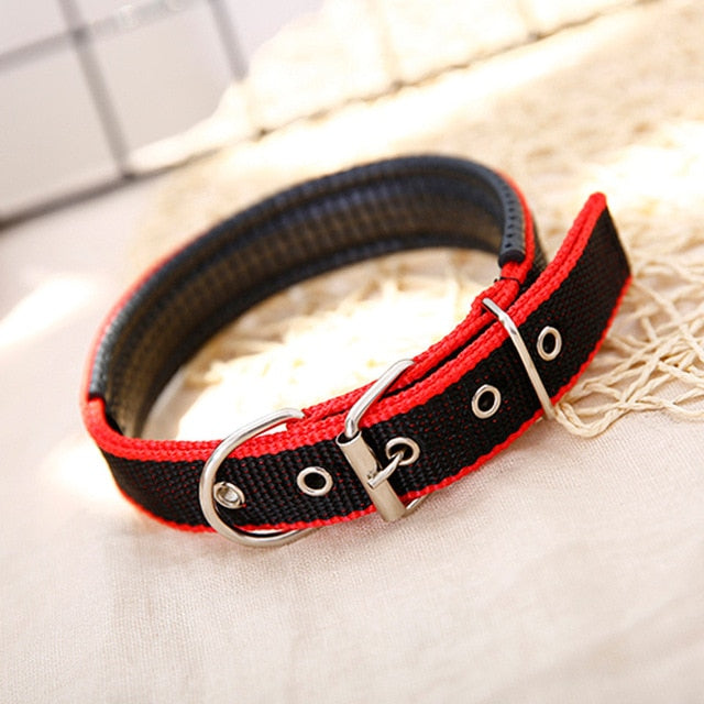 Collar w/ Metal Buckle for dogs - __label:Bestseller, Collar, Leather, Strap