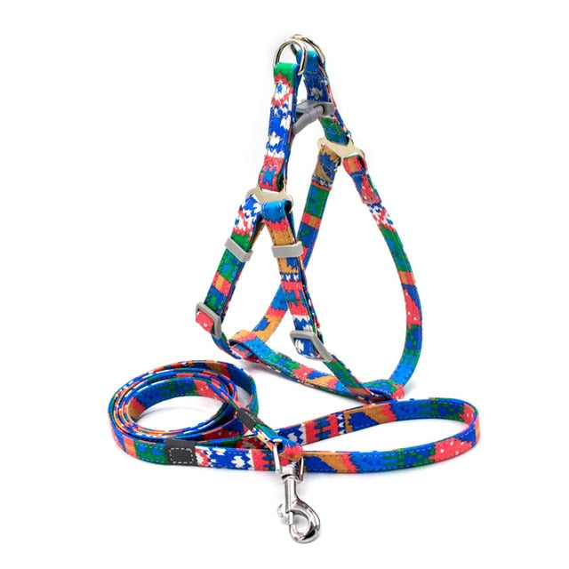 Funky Design Harness (No Pull) for dogs - __label:Bestseller, Adjustable, Cool Colours, Easy On, Harness, Leash, No Pull, Set, Step In