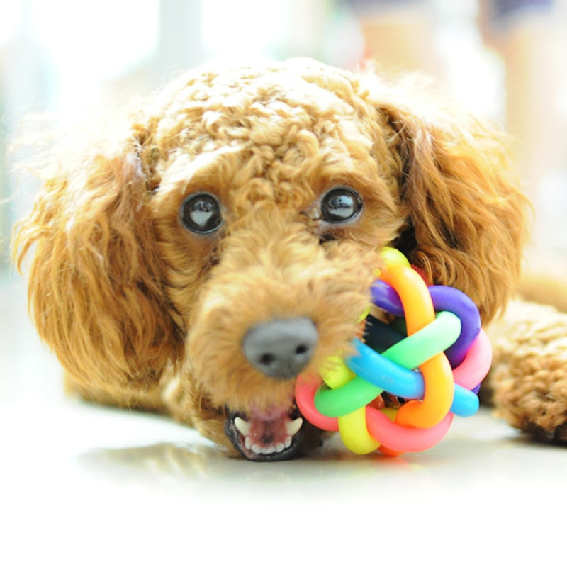 Rainbow Jingle Ball for dogs - __label:Bestseller, Ball, Bell, Chew, Chewy, Toy