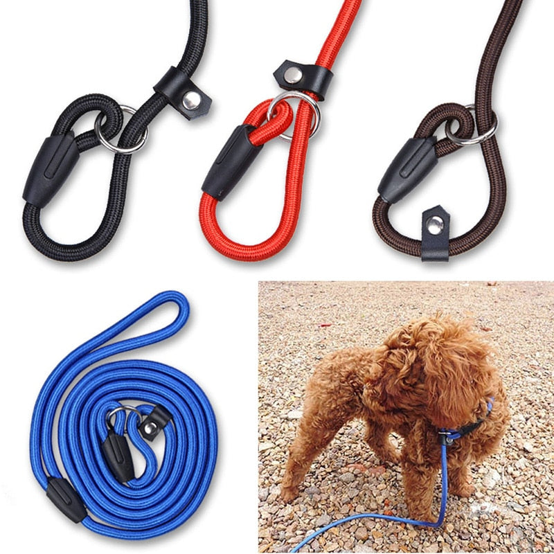 Training Lead (Leash) for dogs - __label:Bestseller, Leash, Rope, Training