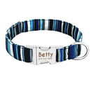 Custom Collar w/ Nameplate for dogs - __label2:HappyDog's Choice, __label:Bestseller, Collar, Custom, Engrave, Flat Buckle, Leash, Nameplate, Personal, Personalized