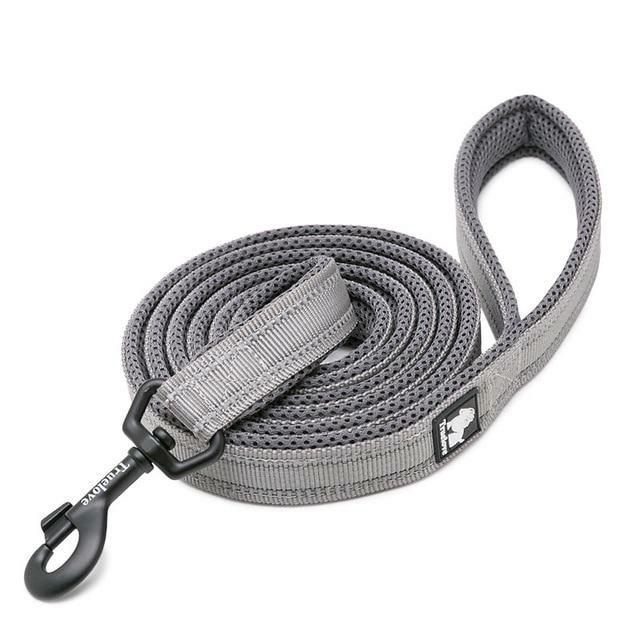 Soft Padded Reflective Leash for dogs - Leash, Reflective