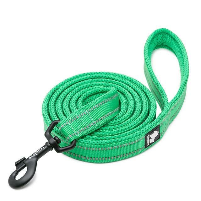 Soft Padded Reflective Leash for dogs - Leash, Reflective