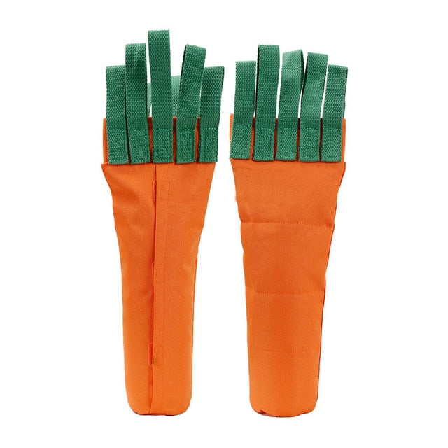 Carrot Toy for dogs - Carrot, IQ, Toy