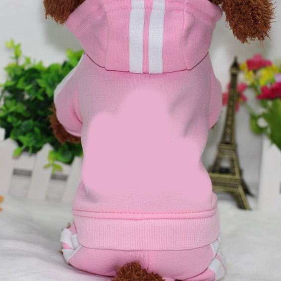 Sport Hoodie for dogs - Clothes, Hoodie, Sweater