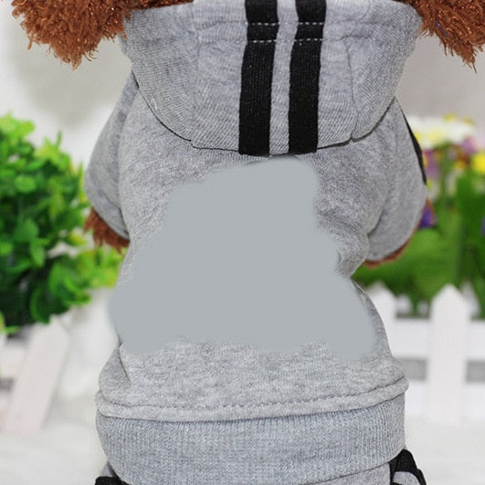 Sport Hoodie for dogs - Clothes, Hoodie, Sweater