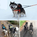 Double Ended Reflective Leash for dogs - Double ended, dual, dual leash, Leash, Reflective, Two sided