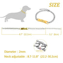 Personalized Chain Nameplate Collar for dogs - Chain, Collar, Custom, Custom Collar, Engraved, Gold, Name, Phone, Silver