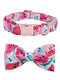 Watermelon Bow, Collar, Leash for dogs - Bow, Bow Tie, Collar, Leash, Melon, Watermelon