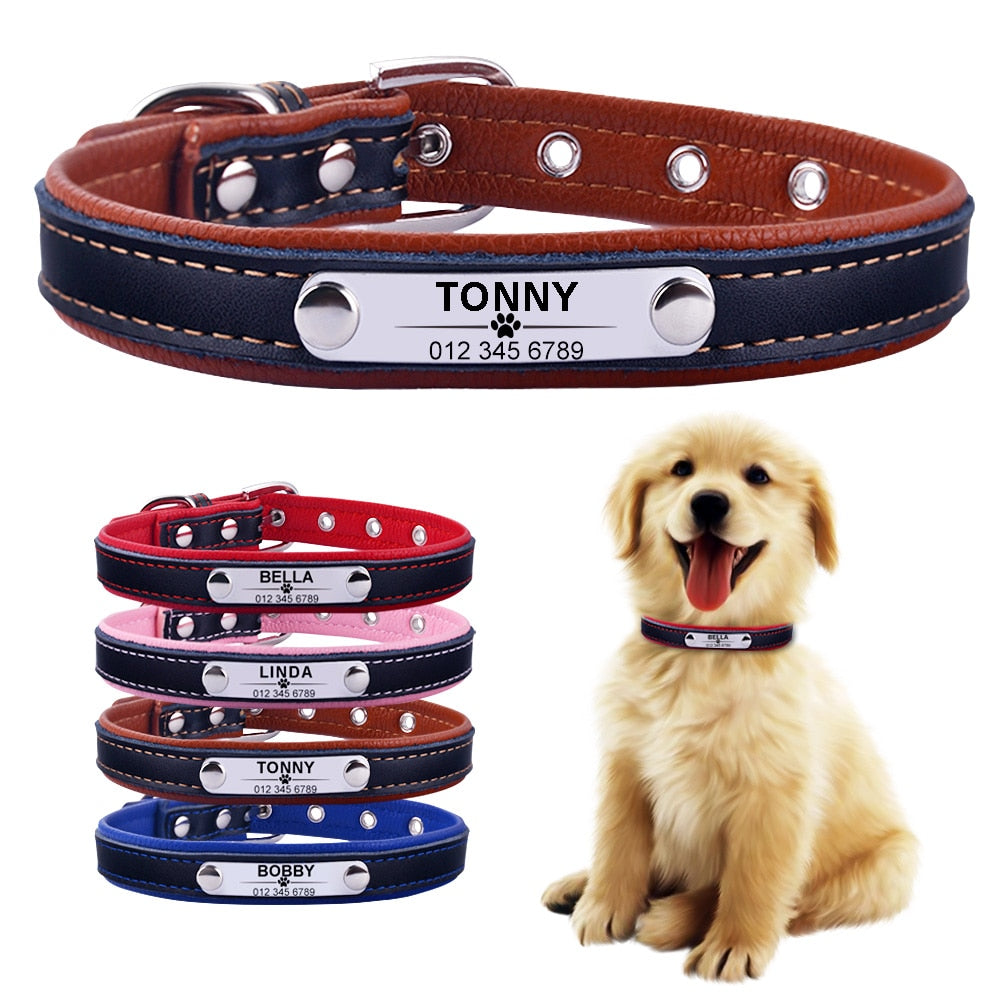 Personalized store dog collar