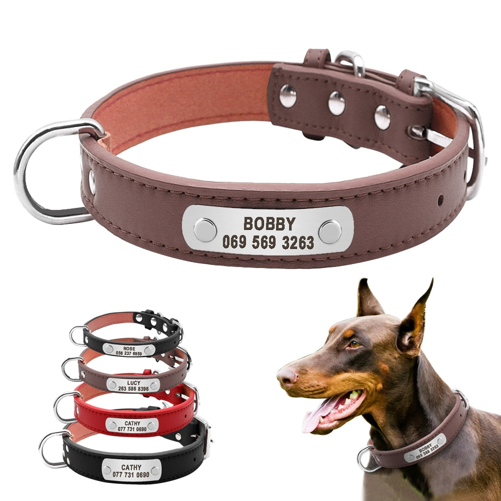 Dog collar with id plate sale