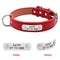 Personalized Leather Collar w/ ID Tag for dogs - Collar, Custom, Engrave, ID, Leather, Name, Number, Personal, Phone, Tag