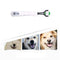 Tooth Brush (3-Sided) for dogs - Brush, Tartar, Teeth, Tooth, Tooth Brush