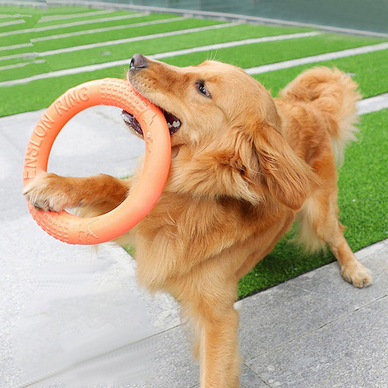 Flying Ring for dogs - Catch, Disc, Fetch, Flying, Frisbee, Ring, Saucer