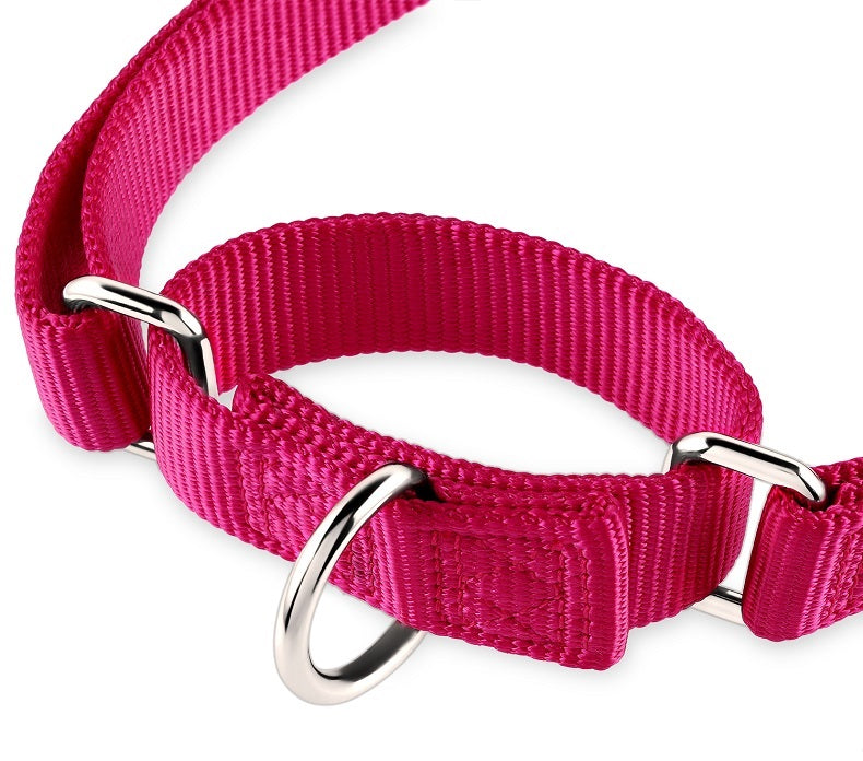 Martingale Collar for dogs - Behaviour, Choke, Collar, Greyhound, Halt, Martingale, Martingale Collar, Training Collar, Whippet