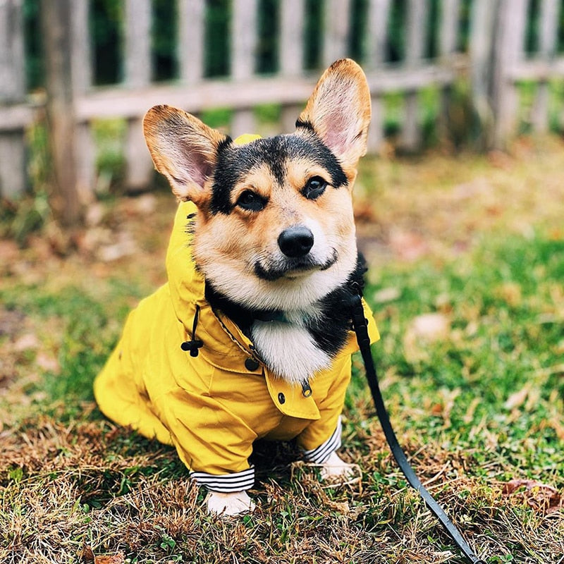 Classic Yellow Raincoat