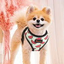 Happy Harness (No Pull) for dogs - Adjust, Collar, Happy, Harness, Lemon, No Pull, Pineapple, Reflective, Vest, Watermelon
