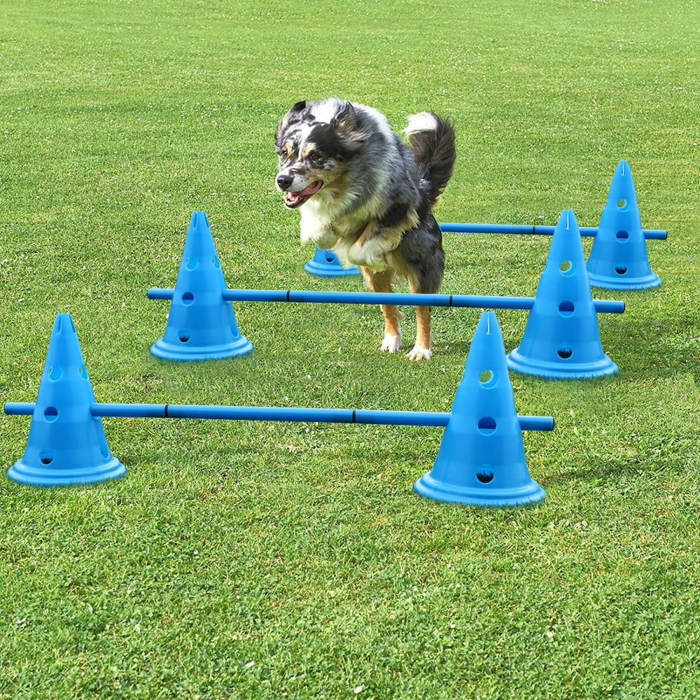 Agility training equipment for sale sale