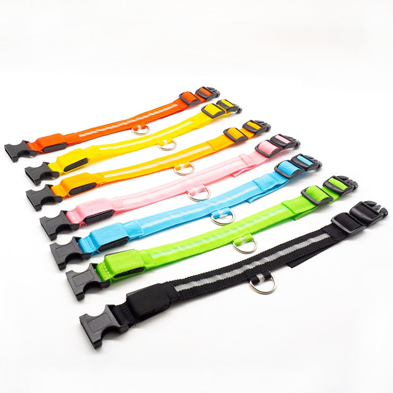 Rechargeable LED Glow Collar for dogs - __label:Bestseller, Chargeable, Collar, LED, Light, Safety, USB