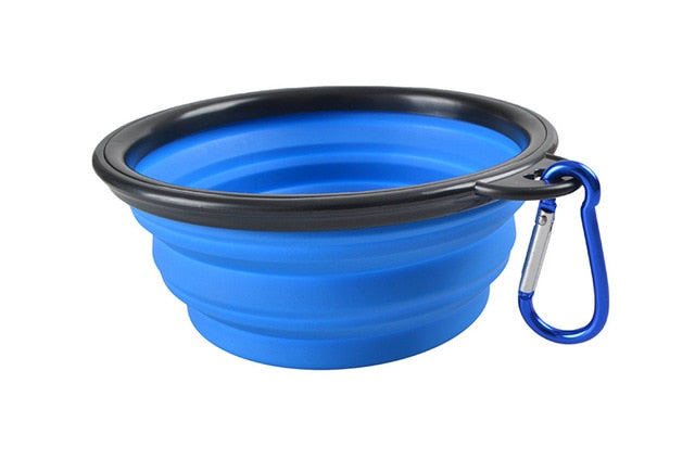 Portable & Collapsible Bowl