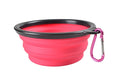 Portable & Collapsible Bowl