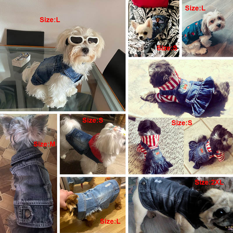 Cool Denim Coat for dogs - Coat, Denim, Jacket, Jeans