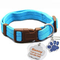 Buckle Collar with Custom ID Tag for dogs - Custom, Dog Tag, Engrave, Engraving, Name, Personal, Phone Number