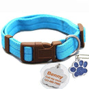 Buckle Collar with Custom ID Tag for dogs - Custom, Dog Tag, Engrave, Engraving, Name, Personal, Phone Number