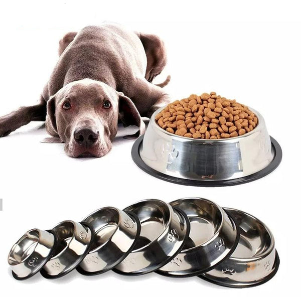 Dog hotsell food bowl