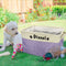 Personalized Dog Storage Basket